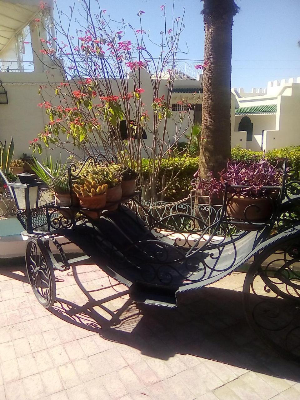 Hotel Riad L' Arganier D' Or Aït el Rhazi Exterior photo